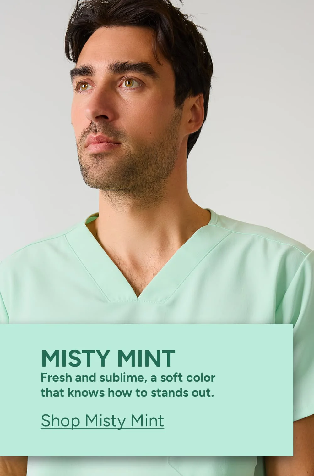 Misty Mint Collection